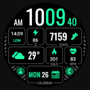 MDS441 Digital Watch Face