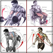 bodybuilding muscle movements