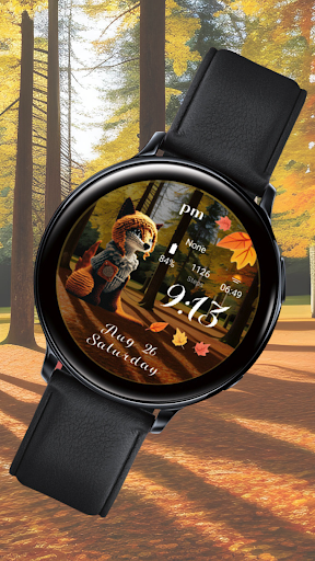 5W018 Autumn Season Watch Screen 2