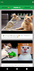Vídeos engraçados de animais::Appstore for Android