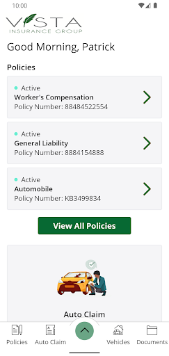 Vista Insurance Group Screen 2
