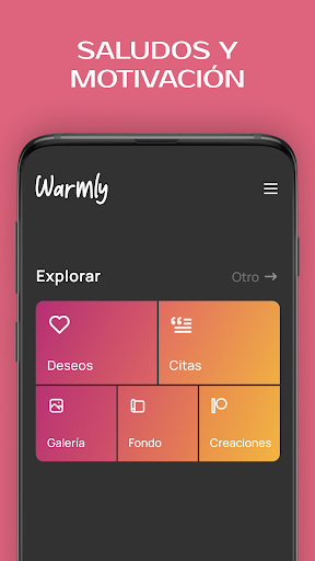 Vista previa de la aplicación