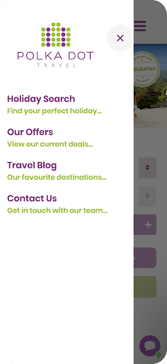 Polka Dot Travel Screen 2