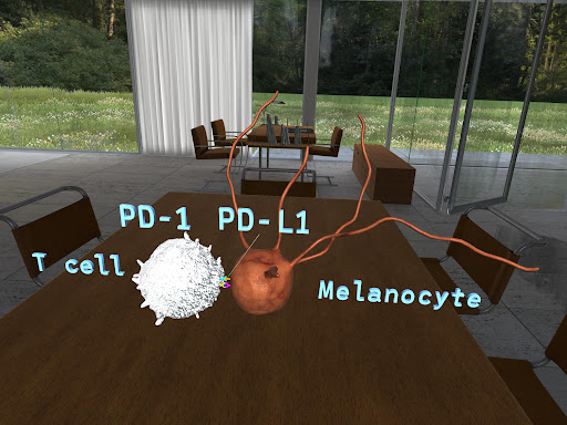 Medical Management of Melanoma