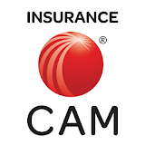 LexisNexis Insurance US CAM icon