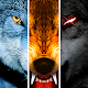 Wolf Online MOD APK 3.9.3 (Unlimited Points)