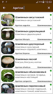 Грибы Screenshot