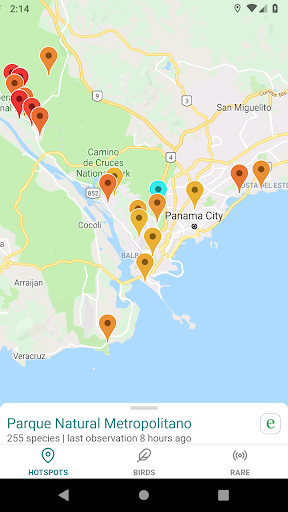 Screenshot of GoBird - Guide to Nearby Birds