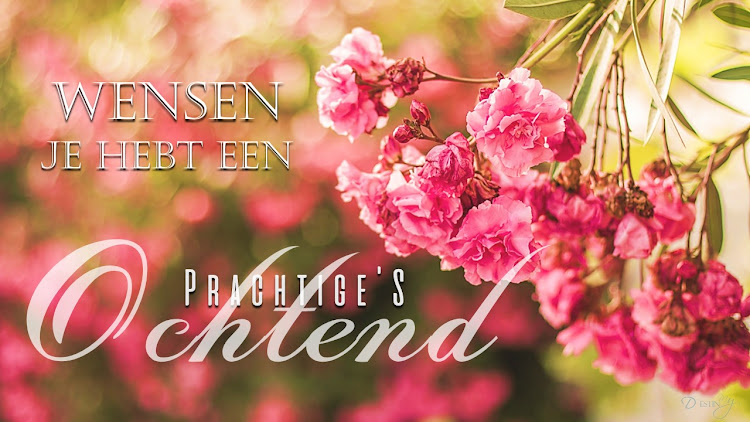 Dutch Daily Wishes Messages - 4.22.04.0 - (Android)
