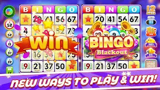Bingo Blackout Winner - Screenshot 1