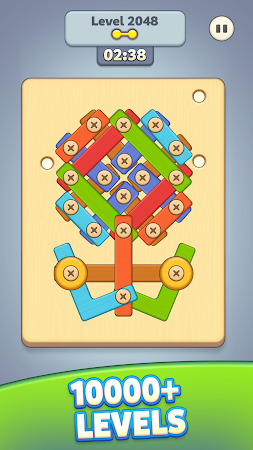 Game screenshot Wood Master: Screw Puzzle apk download
