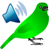 Birds Calls Sounds icon