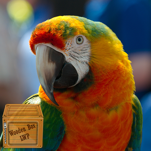 macaw bird wallpaper logo