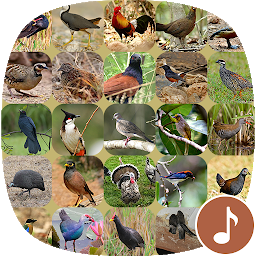 Icon image Appp.io - Bird Calls