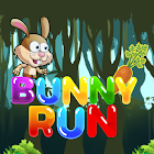 Bunny Run - Zoo Run 5.0