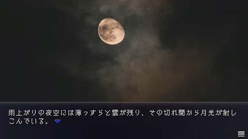 プレイする怖い話雨 マルチエンド型ホラーノベルゲーム Screen 3
