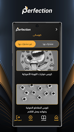 Perfection Screen 2