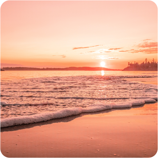 Beach Wallpaper Hd - Beach Bac - Ứng Dụng Trên Google Play