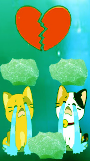 Android application My cat gallery screenshort