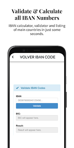 Bank Tools: IBAN, Swift, Rout Screen 2