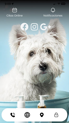 Peluqueria Canina Kiku Screen 2