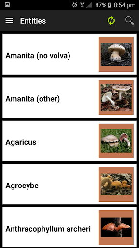 FunKey: Key to Agarics Screen 3