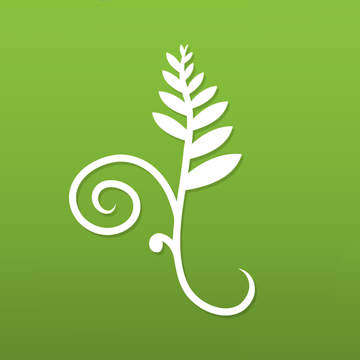 Koru Mindfulness logo