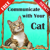 ?? Cat Communicator Pro icon