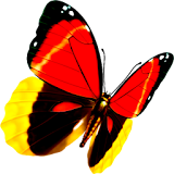 Butterfly Lianliankan（Free） icon
