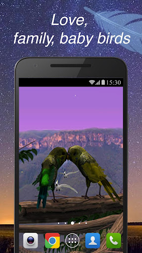 Android application PRO Parrots 3D Live Wallpaper screenshort