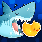 Ducky Pool