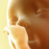 Baby Heart Doppler - Obstetric icon