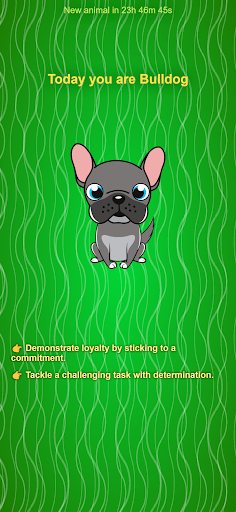 Android application mimic me screenshort