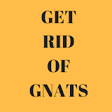 Get rid of gnats icon