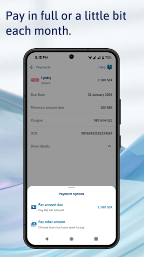 Svea Pay Screen 3