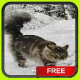 Cat in Snow Live Wallpaper Theme icon