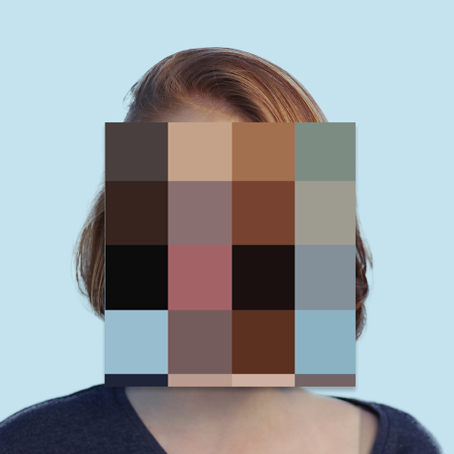 Privacy Blur - hide faces Download on Windows