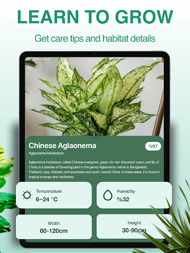 PlantExpert Leaf Identifier