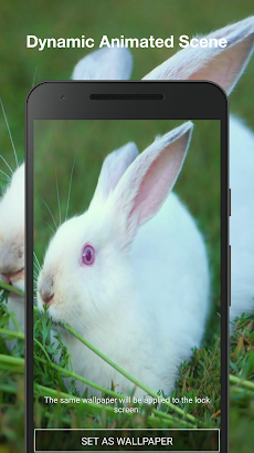 かわいいうさぎ アニメーションの壁紙 Androidアプリ Applion