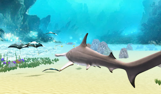 The Hammerhead Shark 1.0.6 screenshots 11