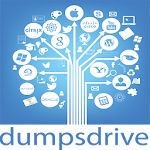 Cover Image of Unduh dumpsdrive  APK