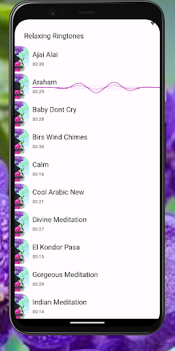 Relaxing Ringtones Screen 3