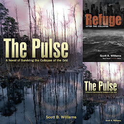 Icon image The Pulse Series