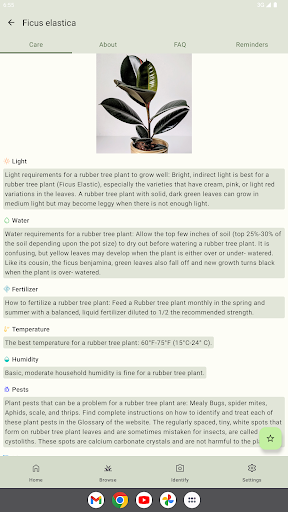 Plant Care - Identify Flowers