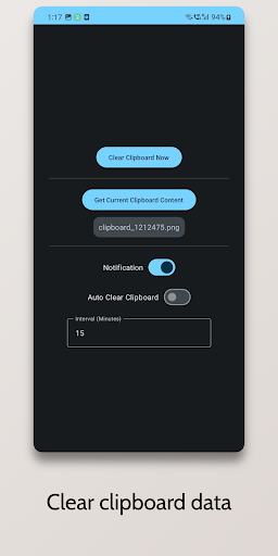 Clipboard Cleaner Screen 2