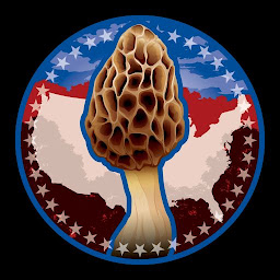 Ikonbilde American Mushroom Forager Map