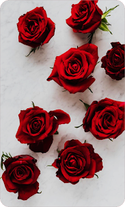 Rose Floral Wallpapers
