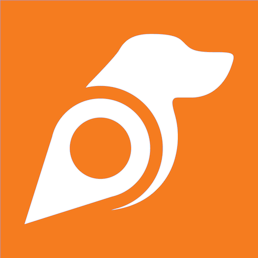 Birddog Driver 1.0 Icon