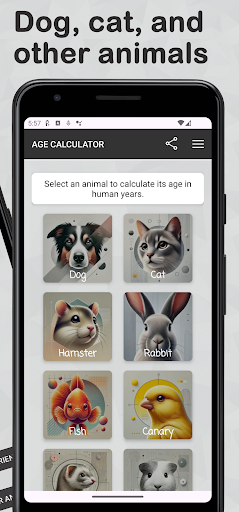 Human Age Dogs Cats and More