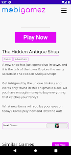The Hidden Antique Shop